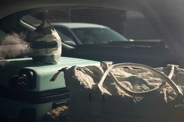 Best Practices for Flood Inspection and Prevention in Car Storage