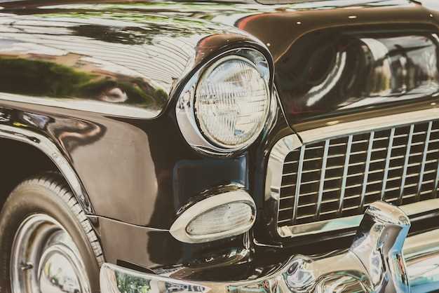 Overlooking Vehicle History Reports and Documentation