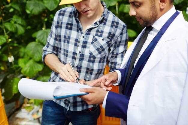 Choosing the Right Expert: What Qualifications to Look For